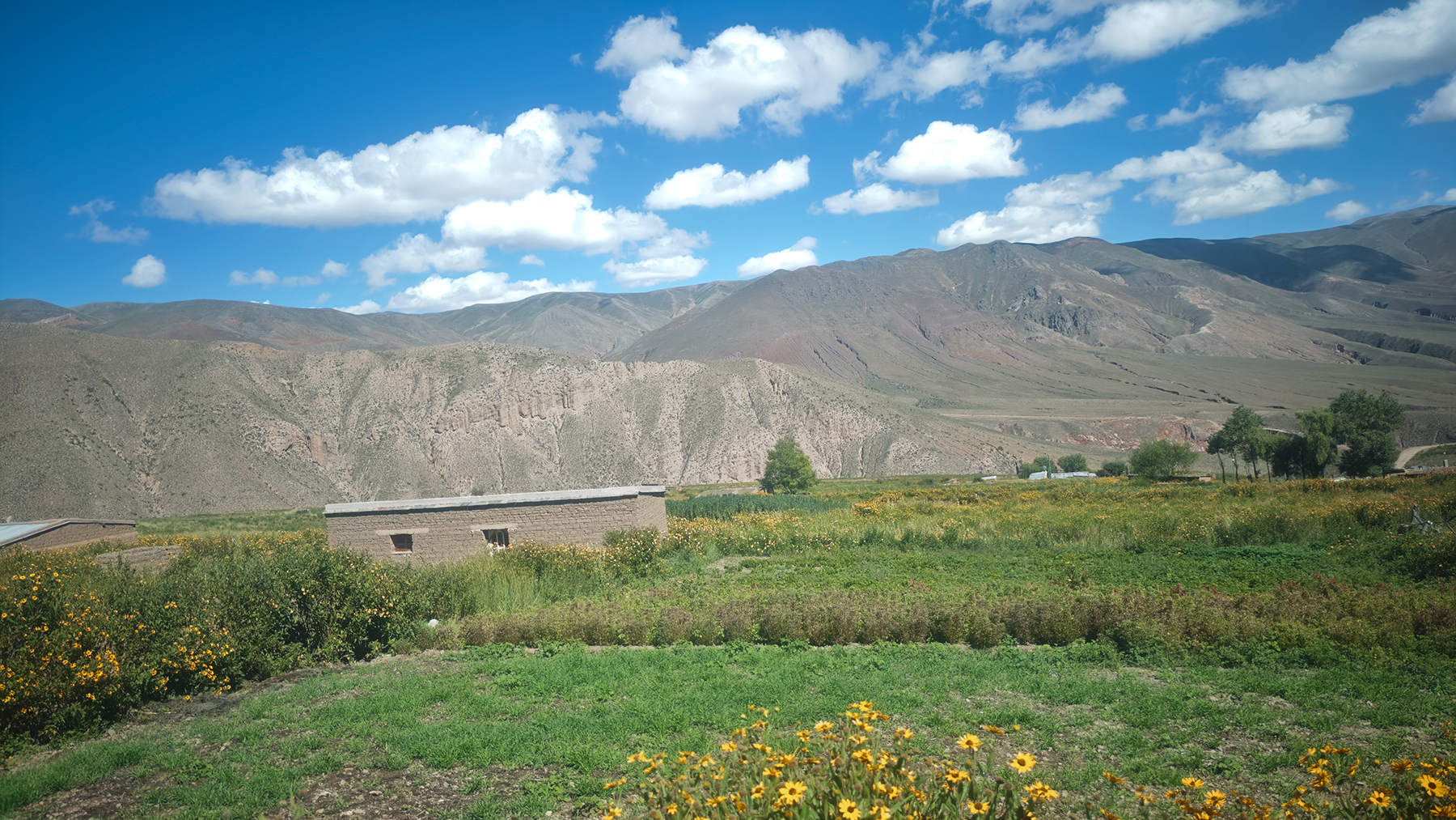 Camino a Iruya